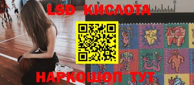 гашик Можга