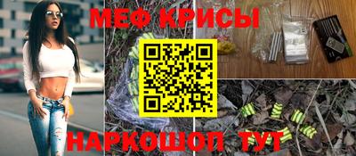 крисы Моздок