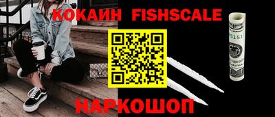 гашик Можга