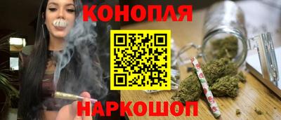 крисы Моздок