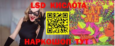 крисы Моздок