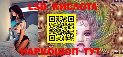 крисы Моздок