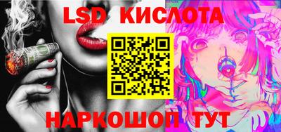 крисы Моздок