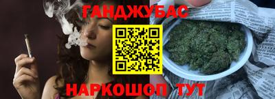 крисы Моздок