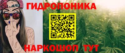 гашик Можга