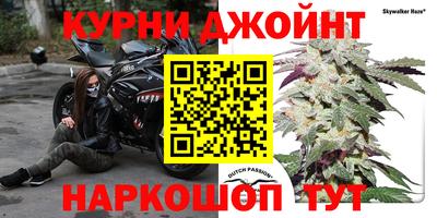 гашик Можга