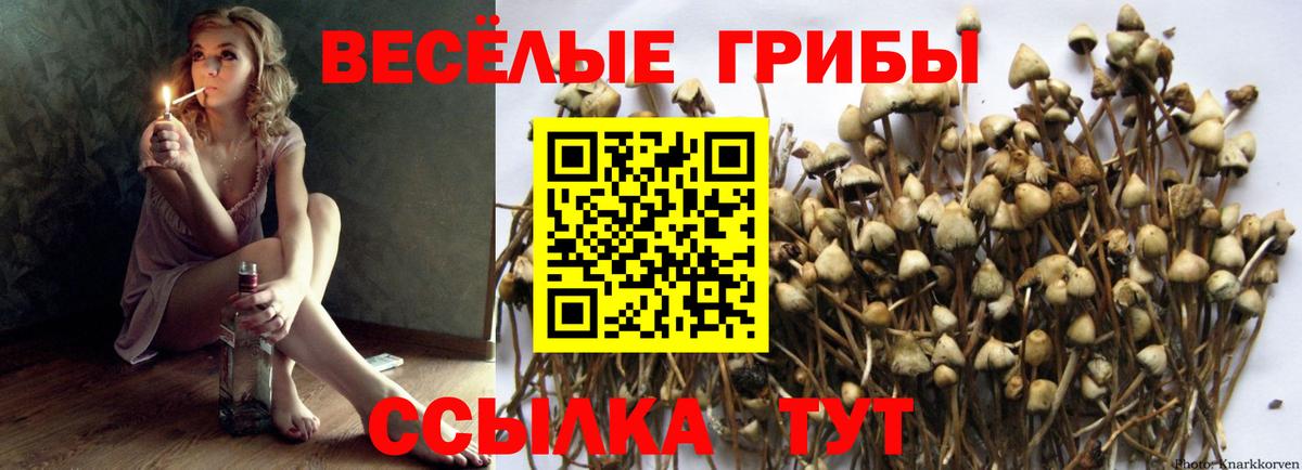 Горно-Алтайск  Псилоцибиновые грибы MAGIC MUSHROOMS  Вход с VPN  Галлюциногенные грибы мухоморы 
